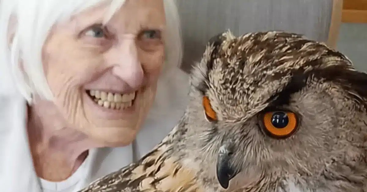 Harbour Care Centre - Residential, Dementia & Nursing Care.