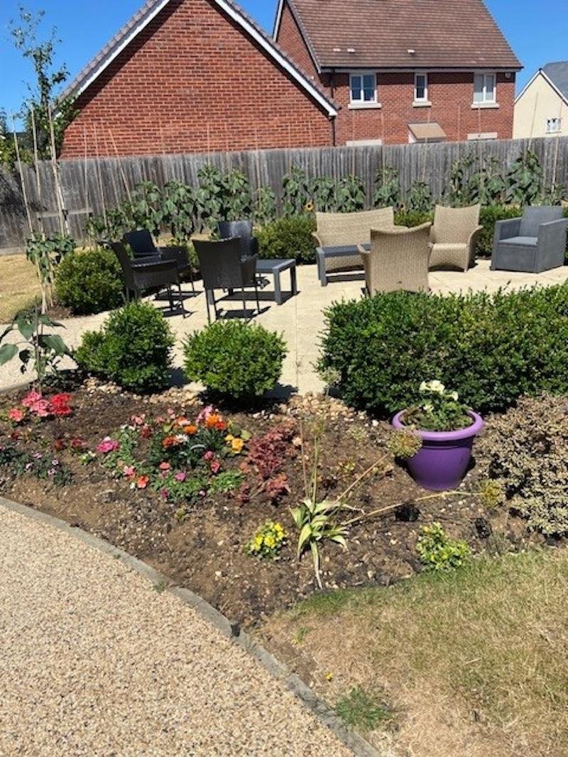 garden_outdoor