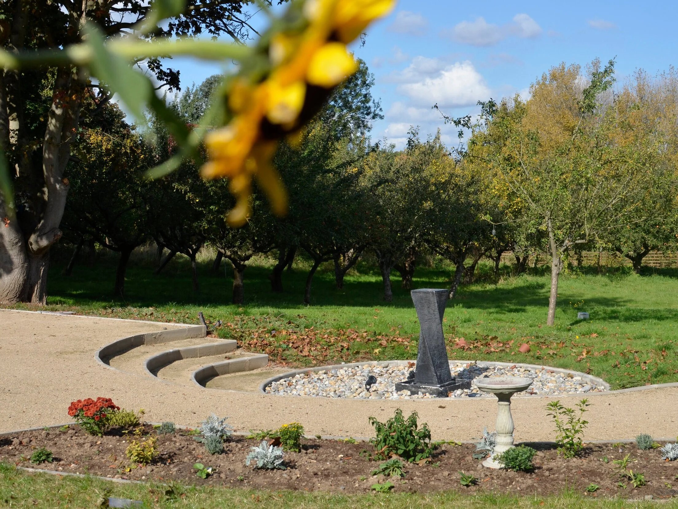 Park View Care Home with Nursing