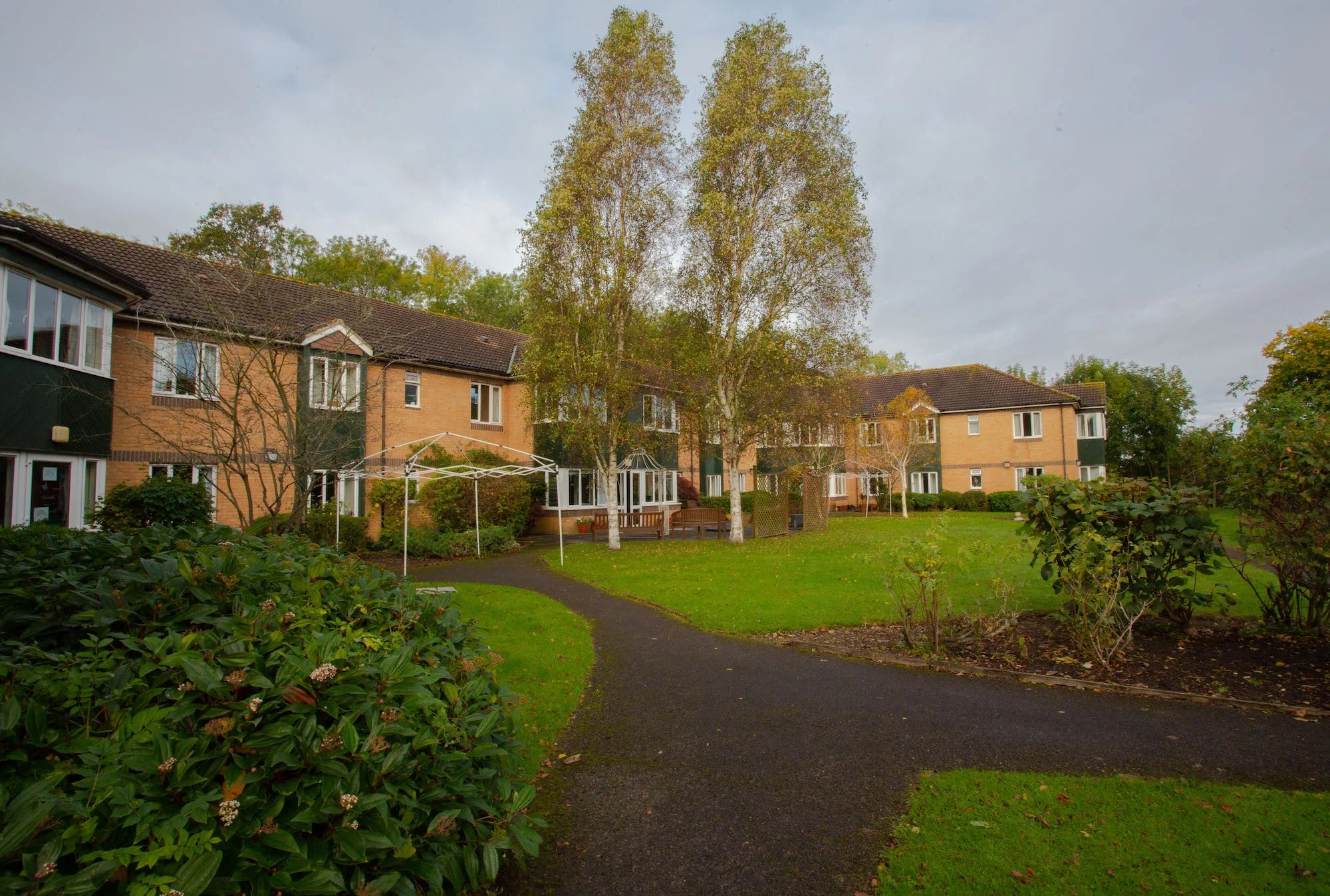 garden_outdoor