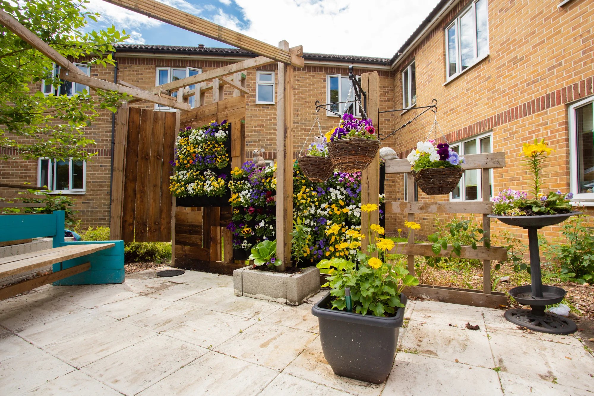 garden_outdoor