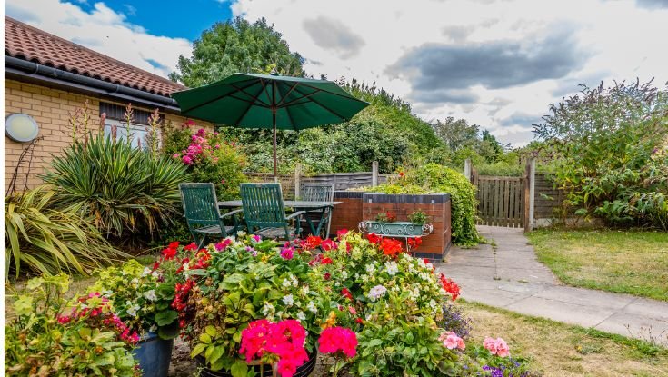 garden_outdoor