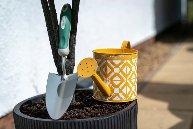 garden_outdoor