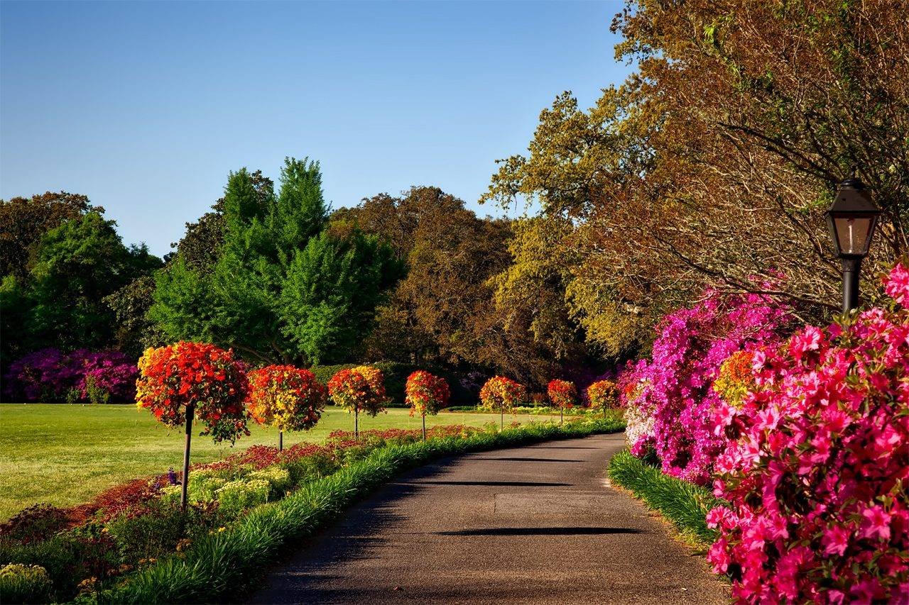 garden_outdoor