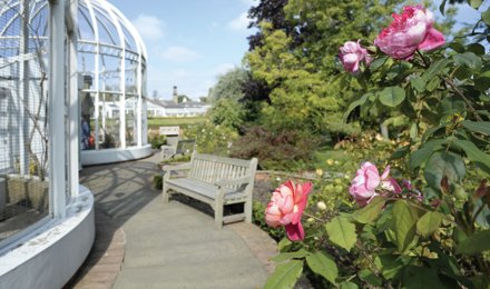 garden_outdoor