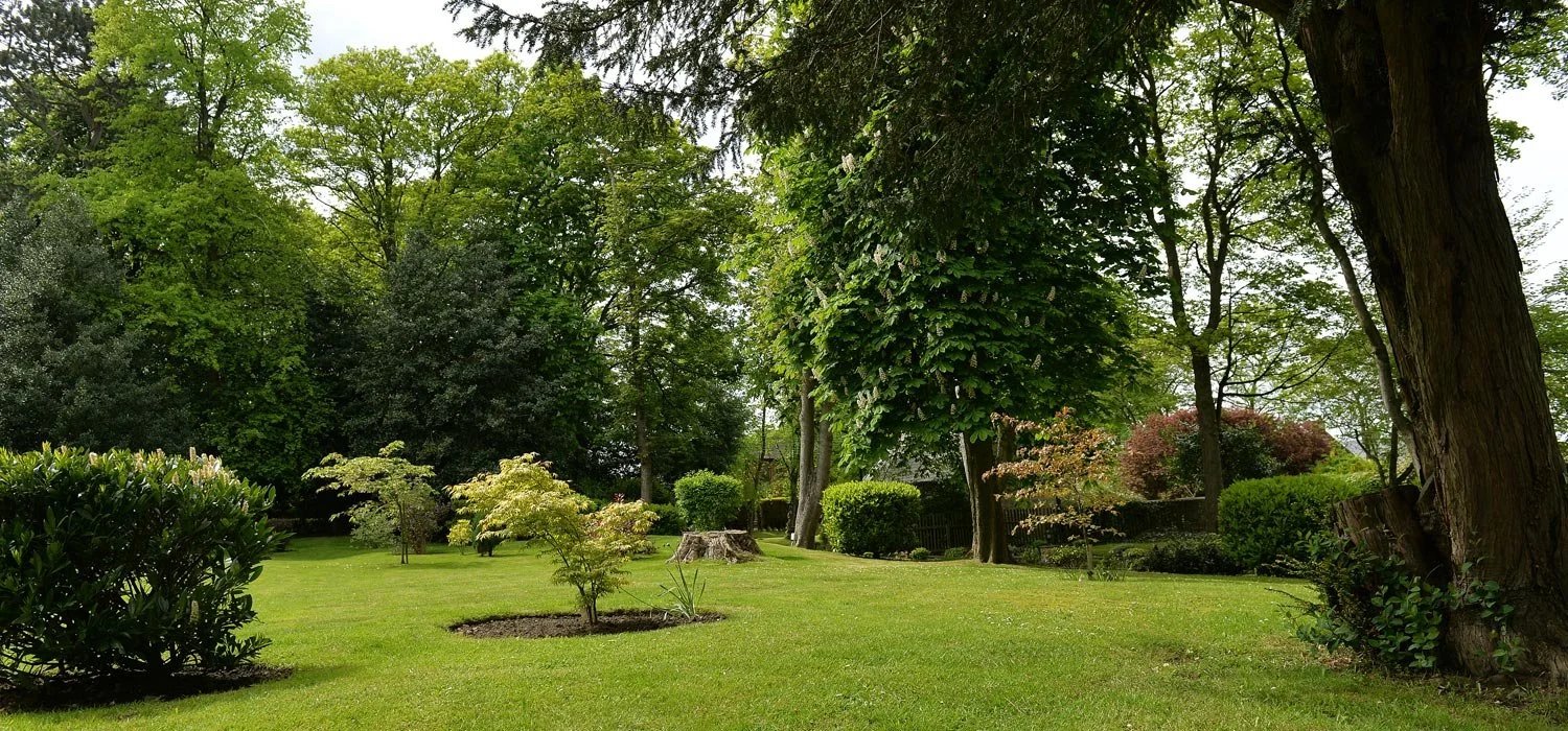 garden_outdoor