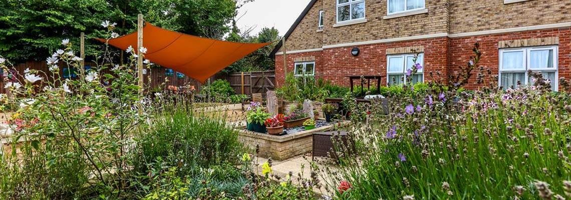 garden_outdoor