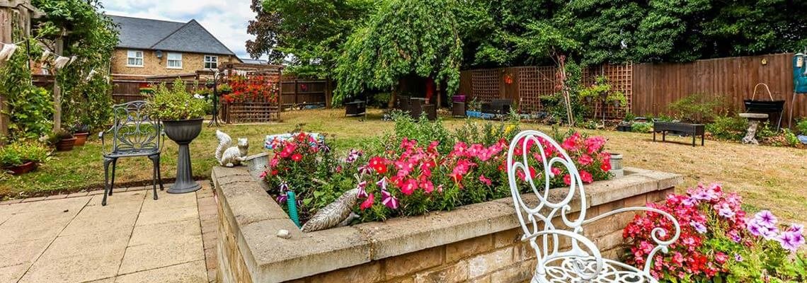 garden_outdoor