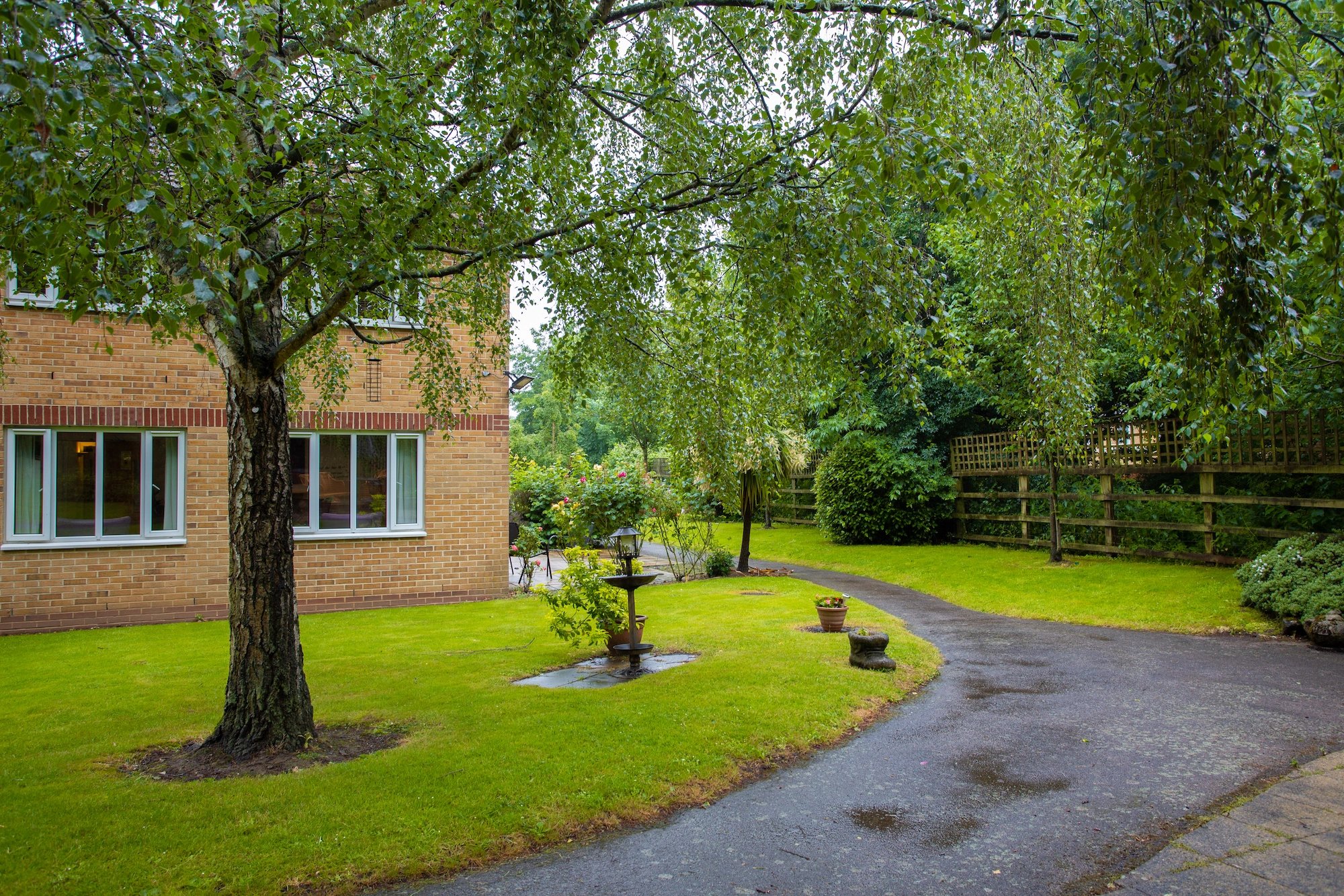 garden_outdoor