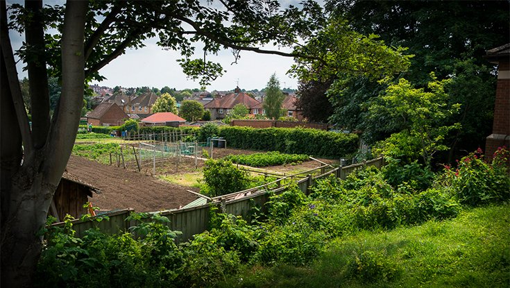 garden_outdoor
