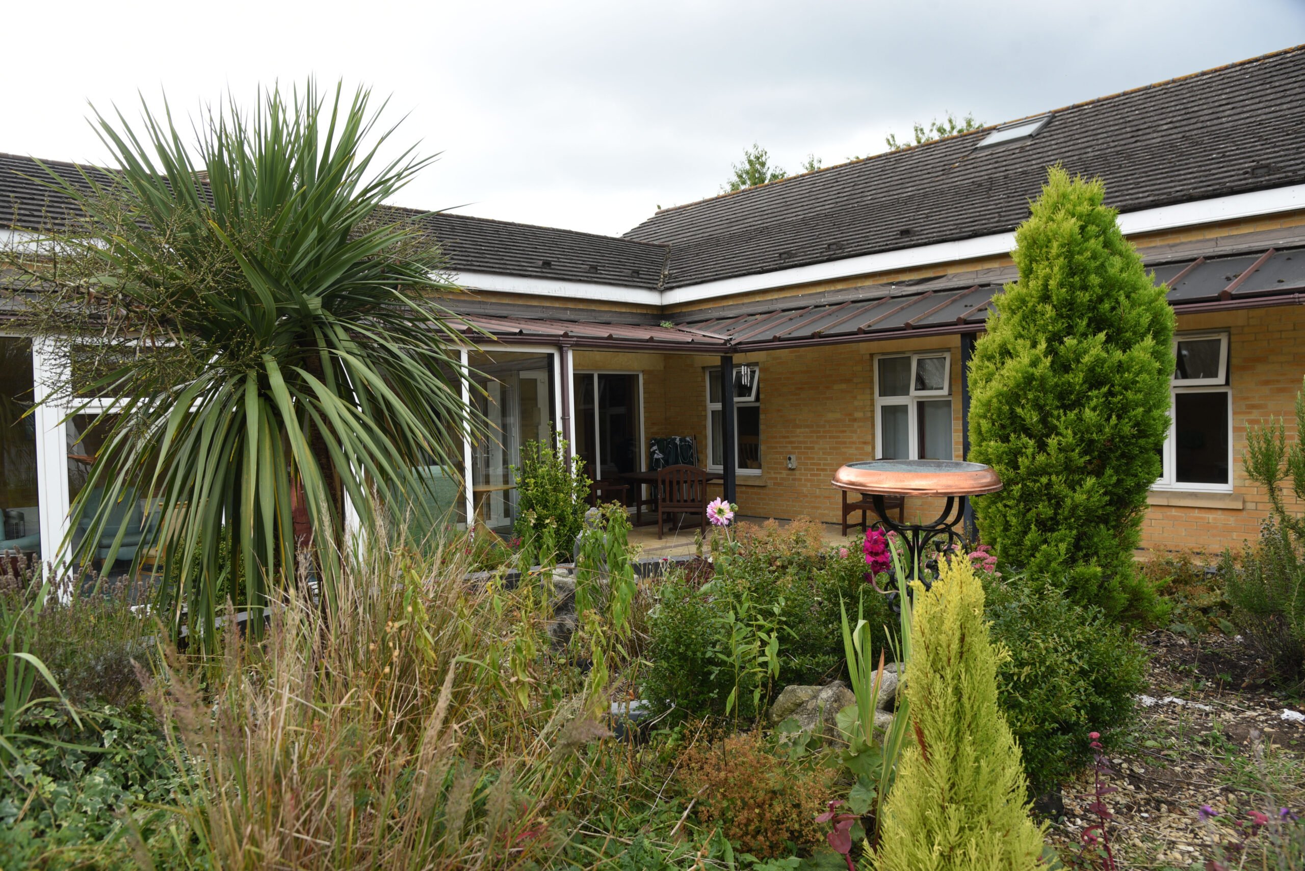 garden_outdoor