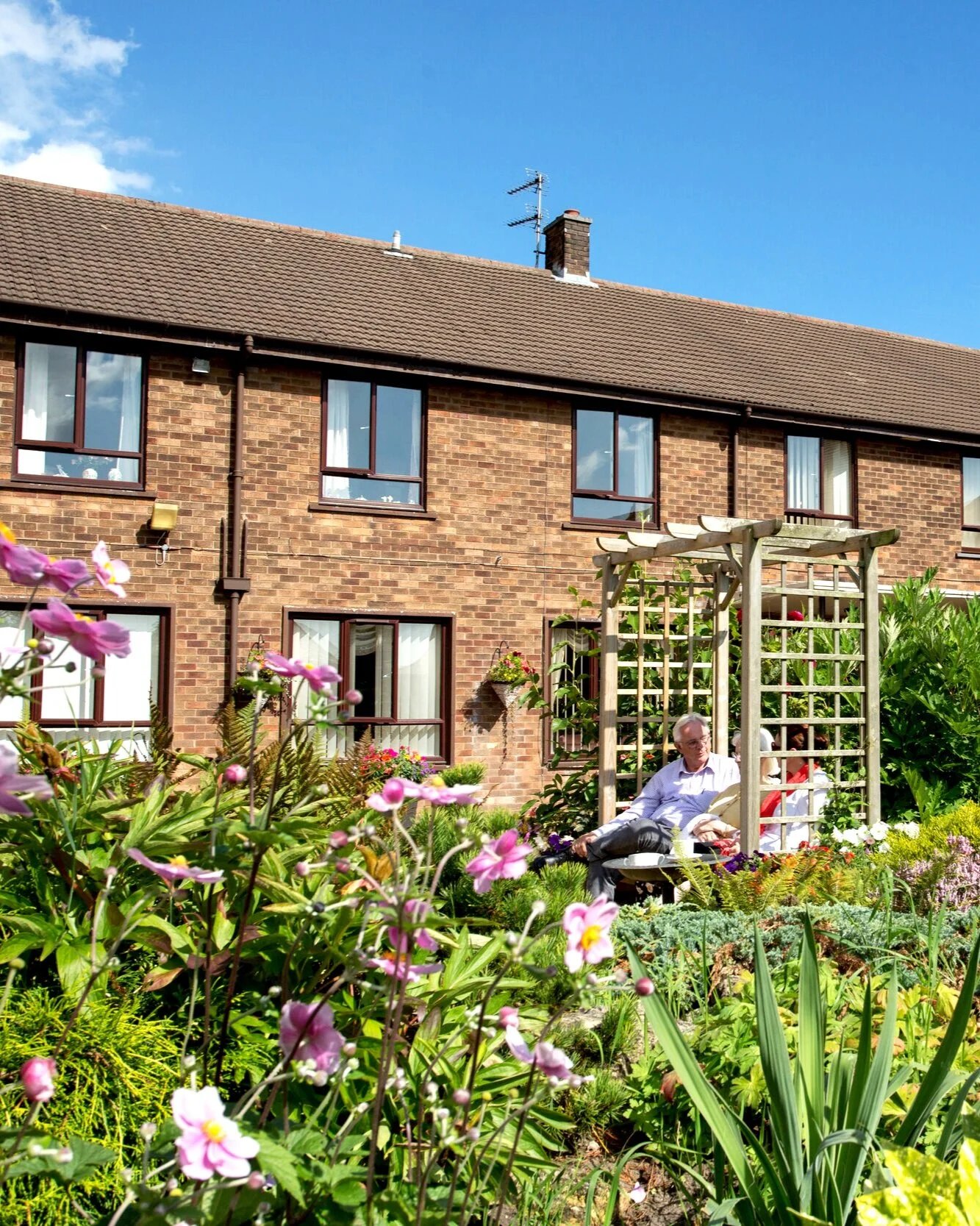 garden_outdoor