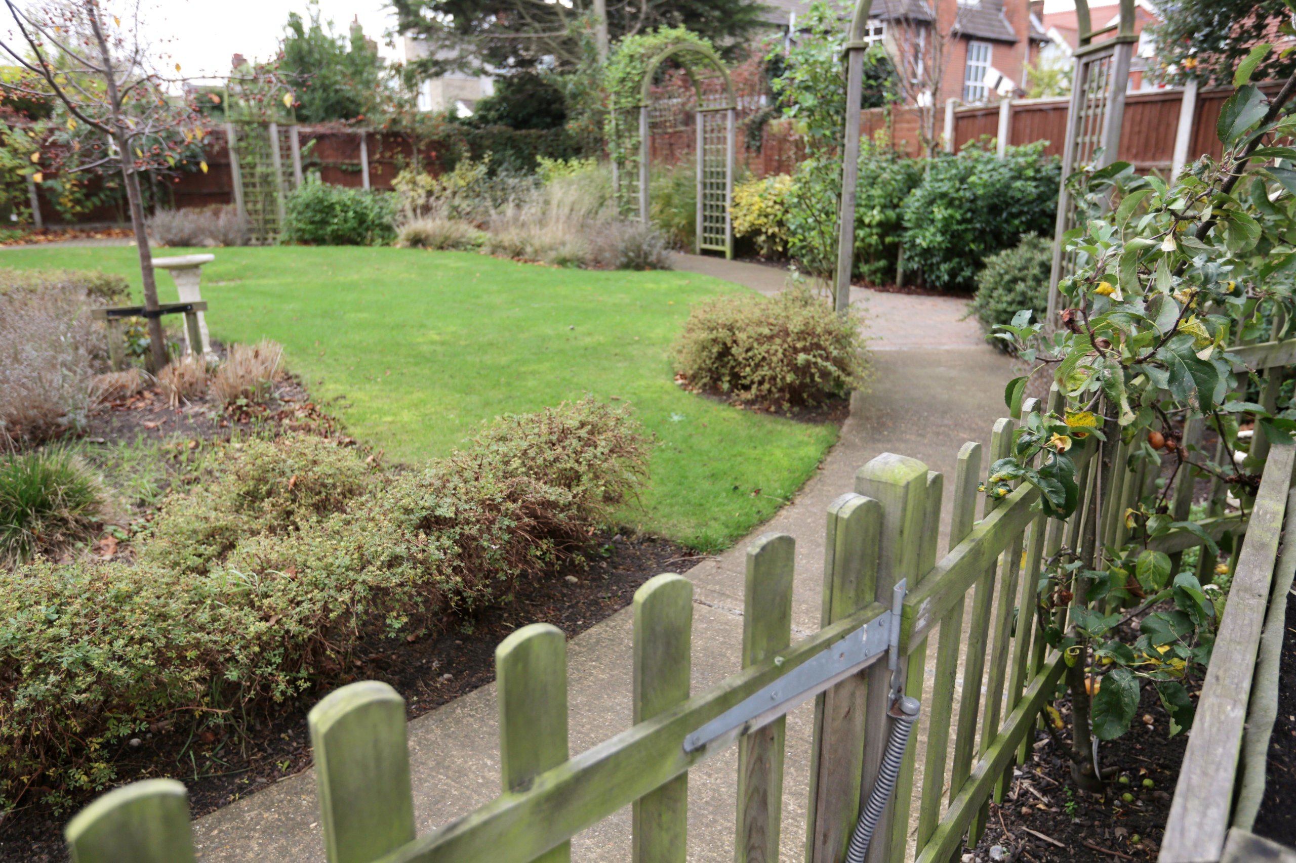 garden_outdoor