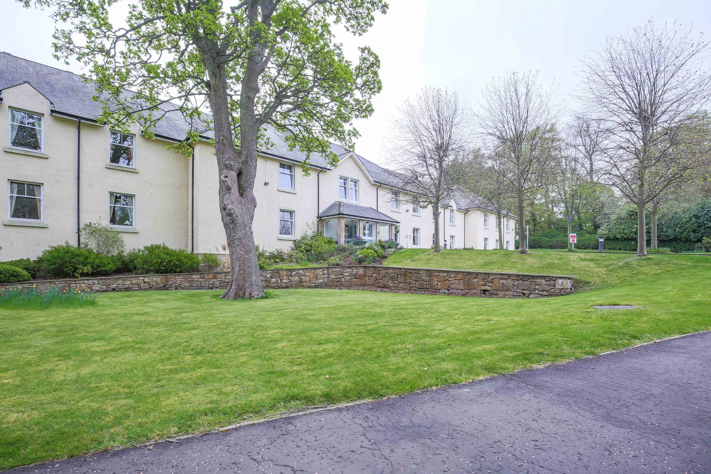 garden_outdoor