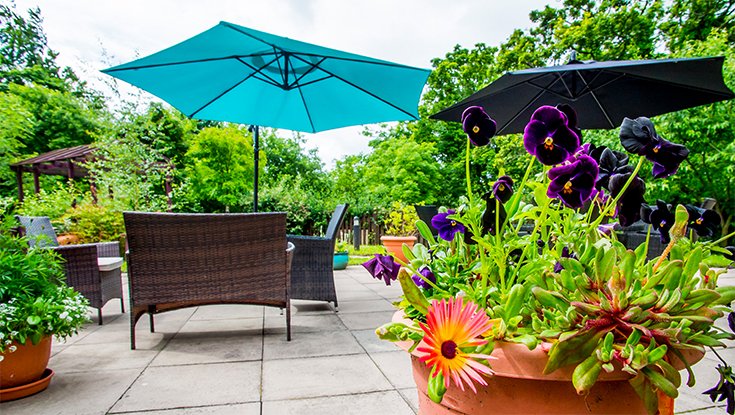 garden_outdoor