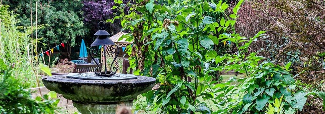 garden_outdoor