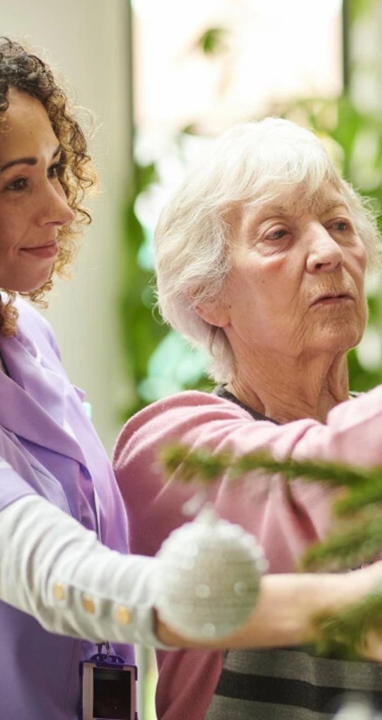 Willows Care Home Chester