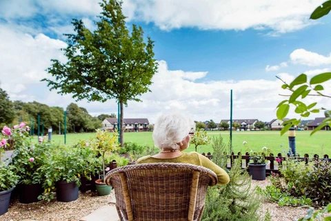 garden_outdoor