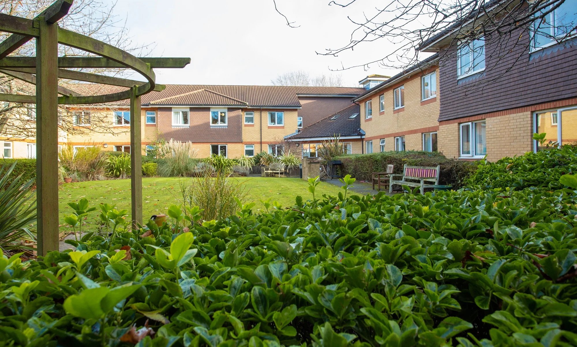 garden_outdoor