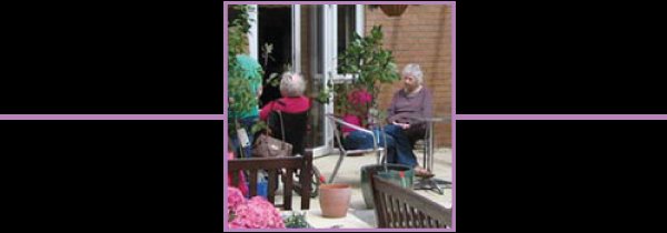 garden_outdoor