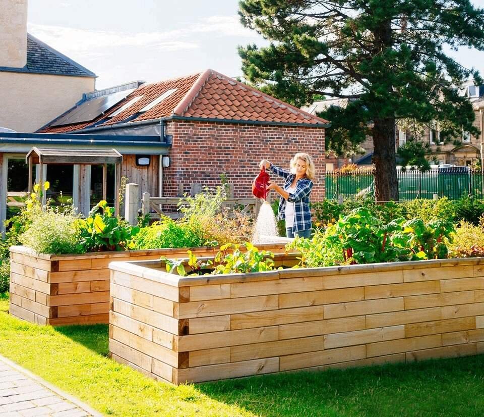 garden_outdoor