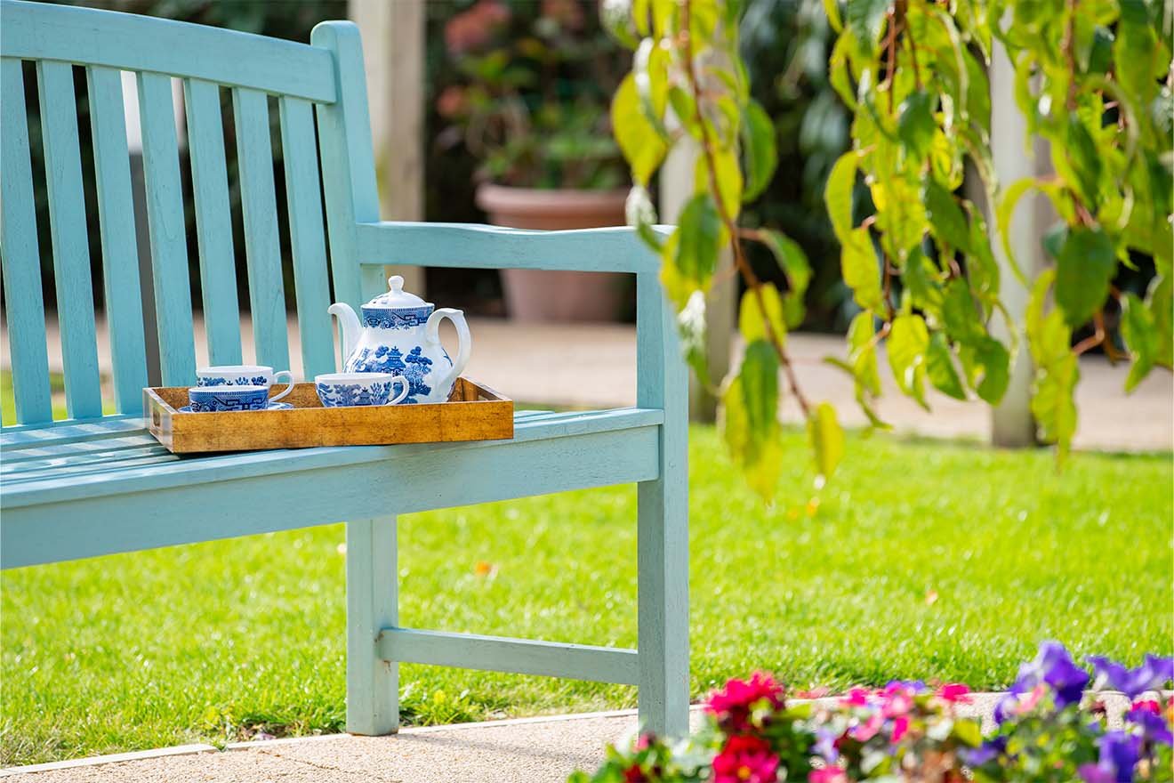 garden_outdoor