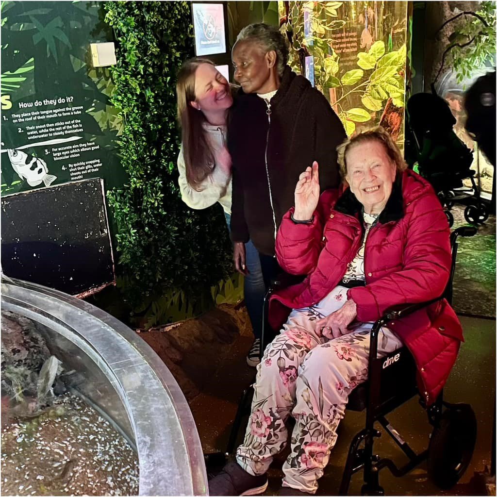 Wilford View Care Home