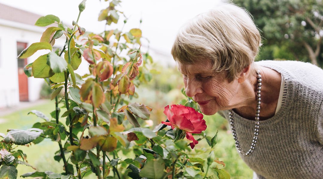 Edinburgh Homecare T/A Meloosha Homecare