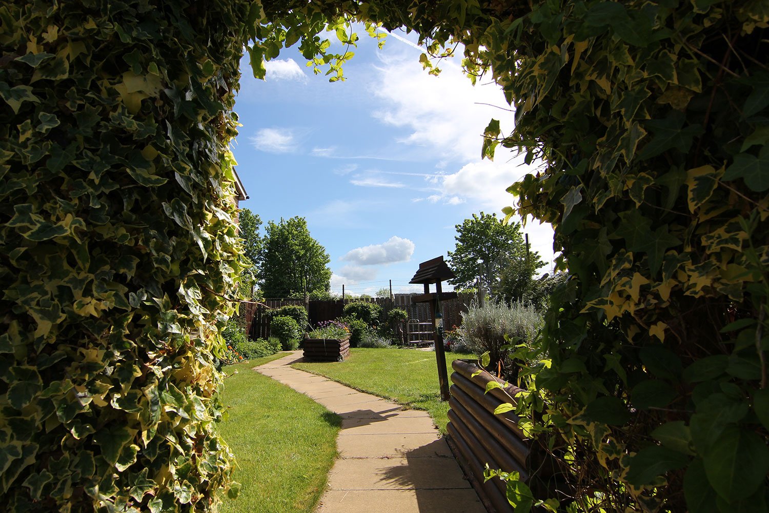garden_outdoor