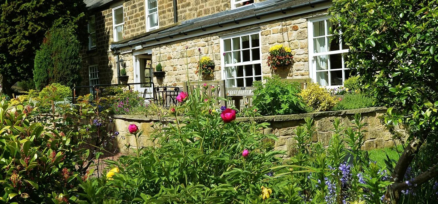 garden_outdoor