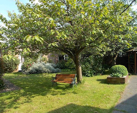 garden_outdoor