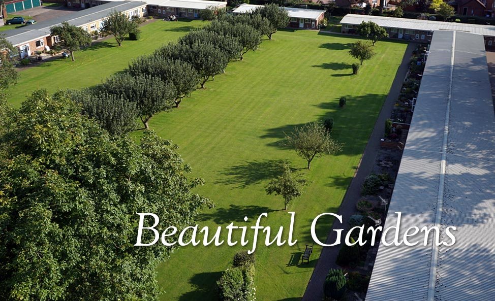 garden_outdoor