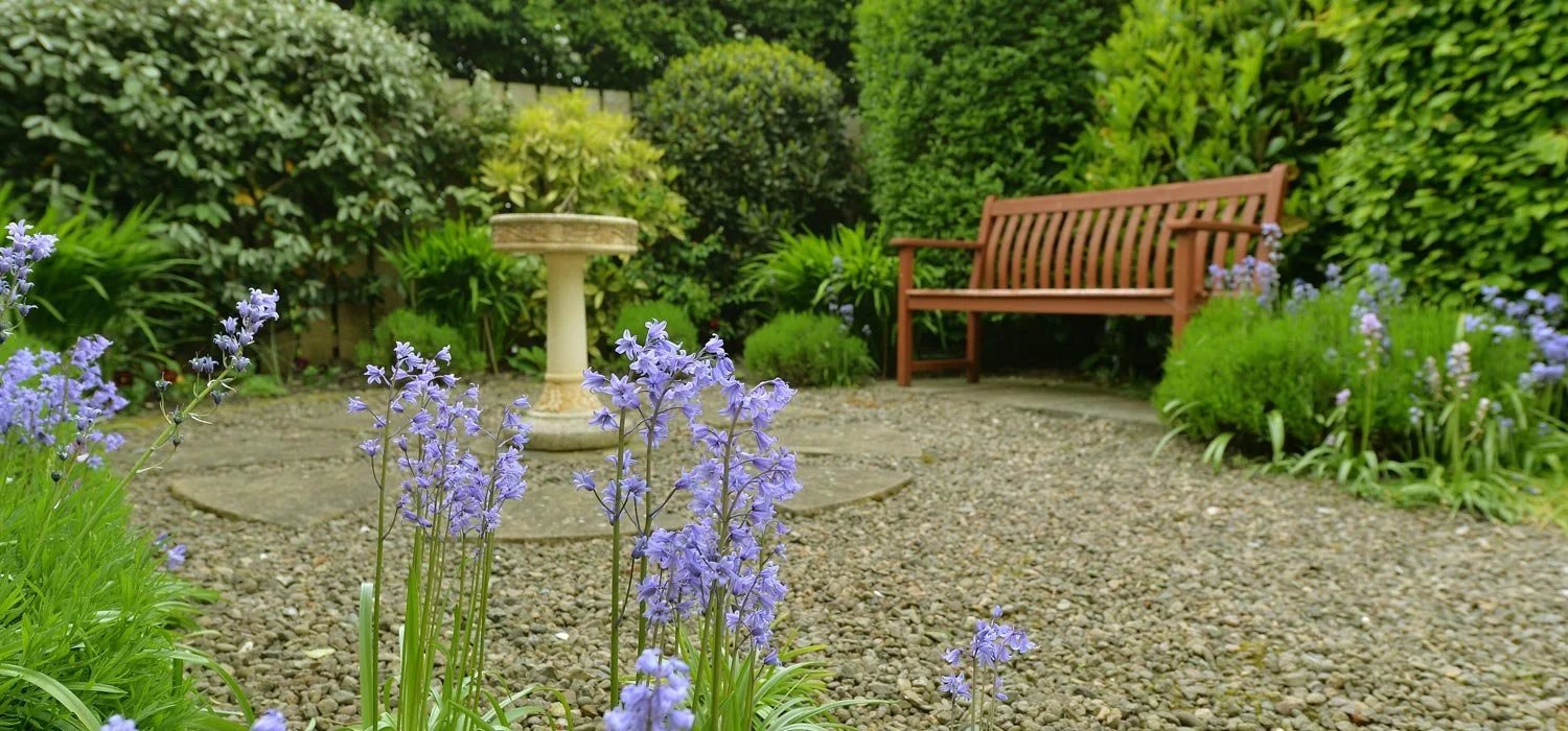 garden_outdoor