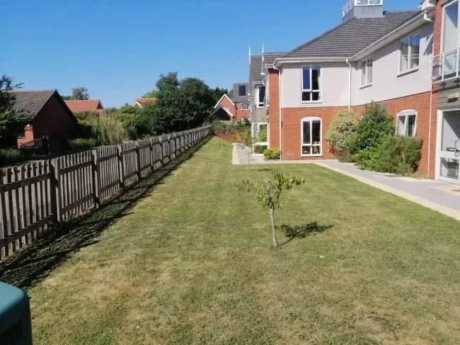 garden_outdoor