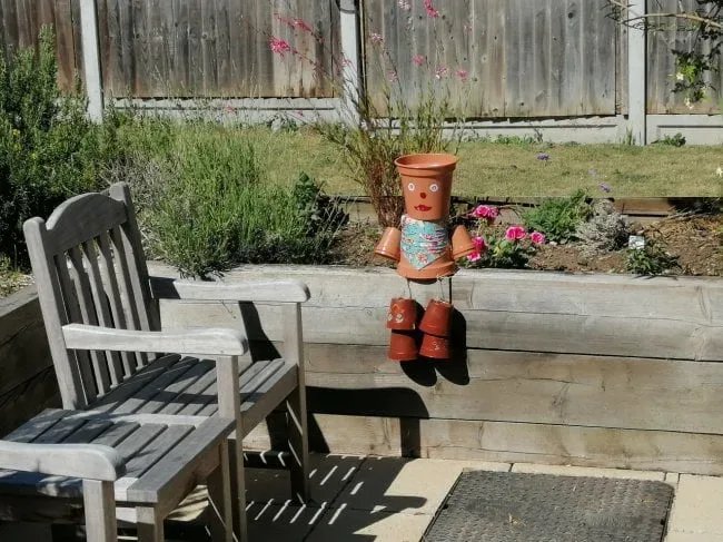 garden_outdoor