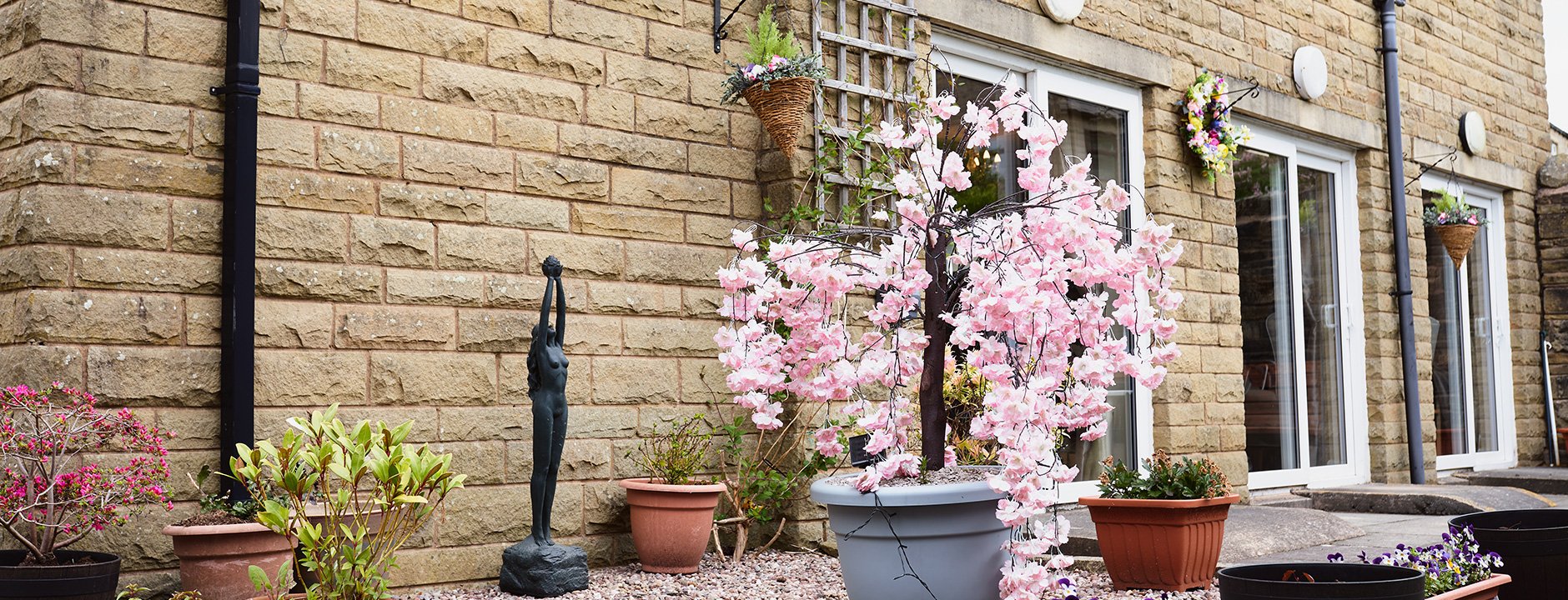 garden_outdoor