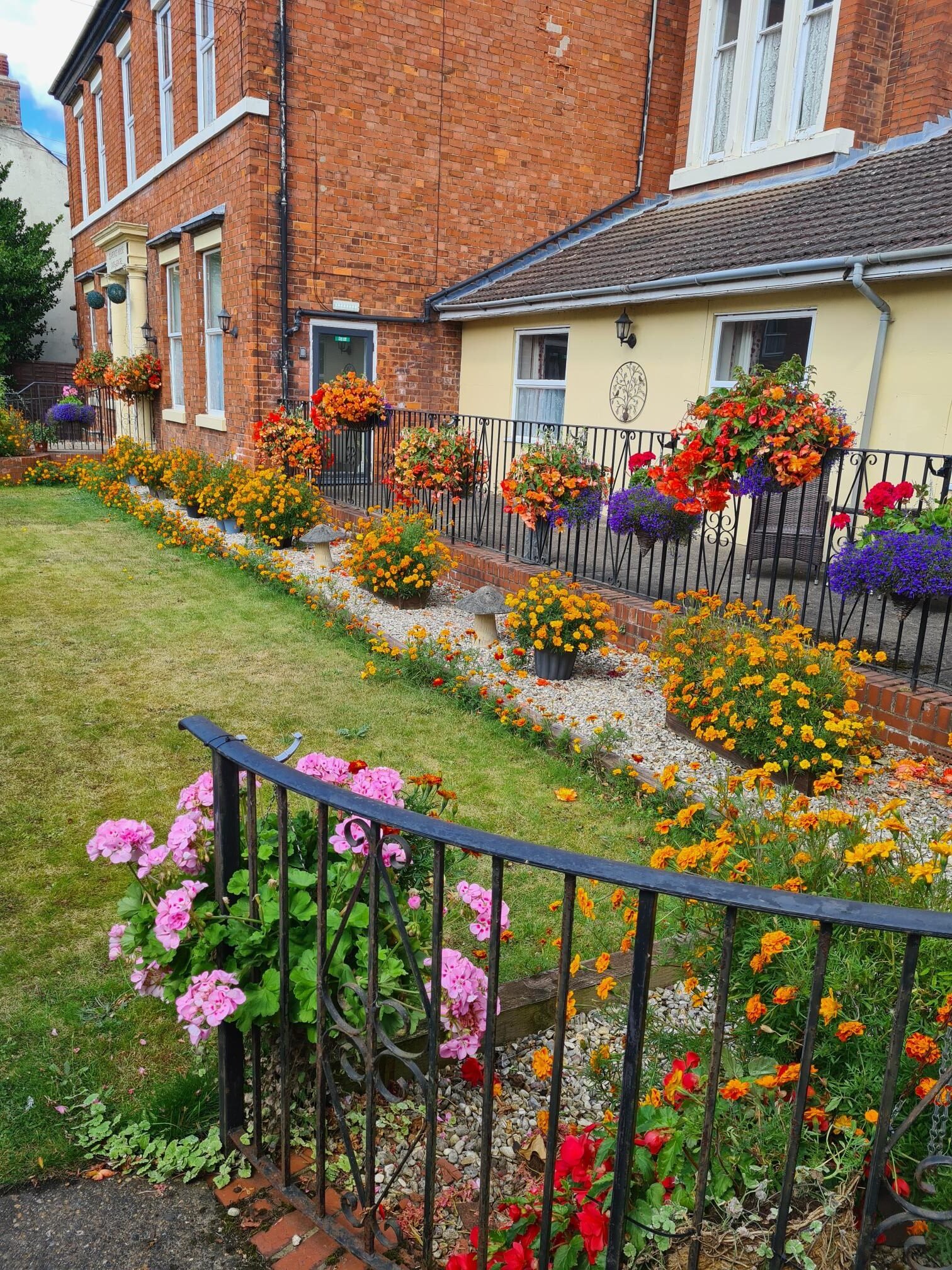 garden_outdoor