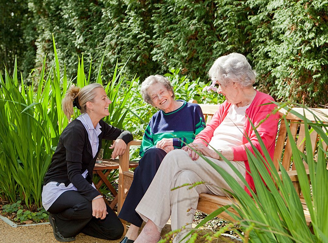 garden_outdoor