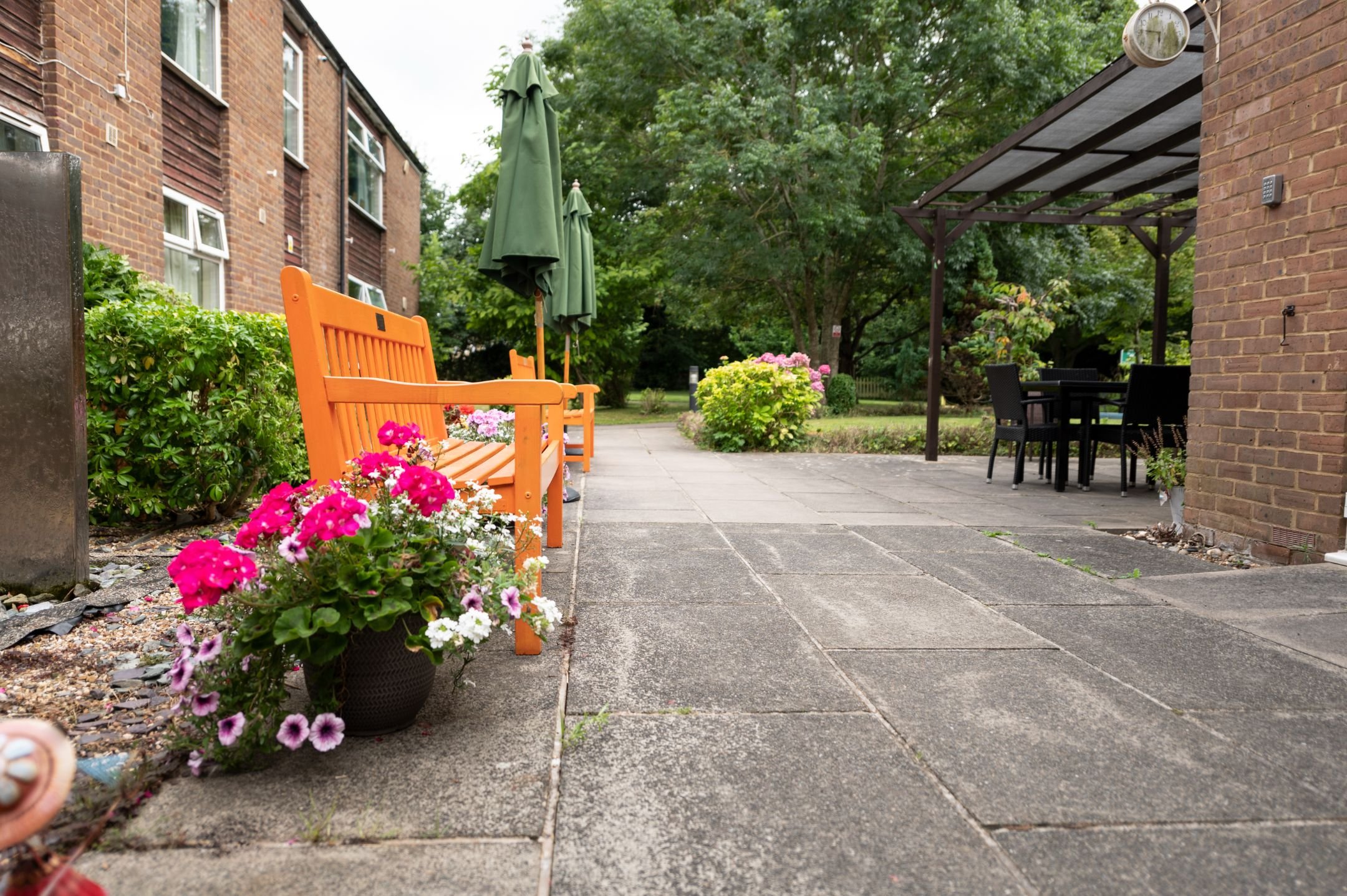 garden_outdoor
