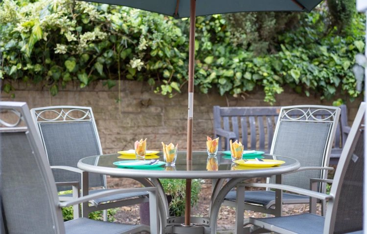 garden_outdoor