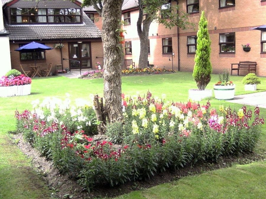 garden_outdoor