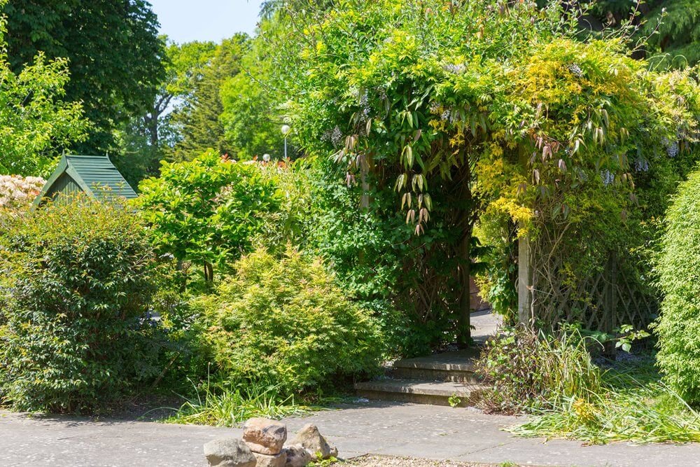 Woodland Hall Care Home - Care UK