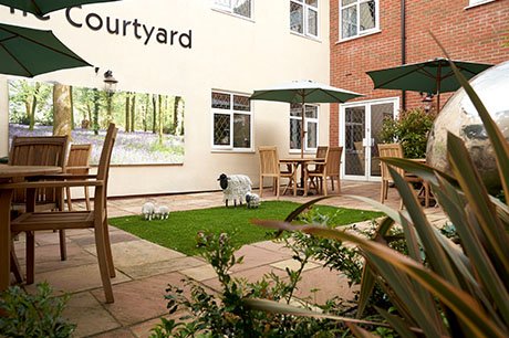 garden_outdoor