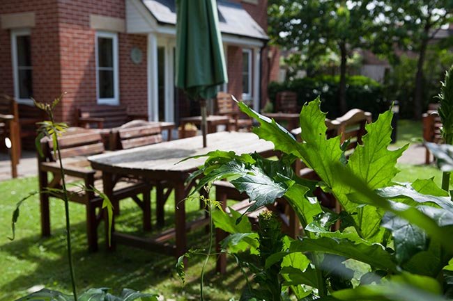garden_outdoor