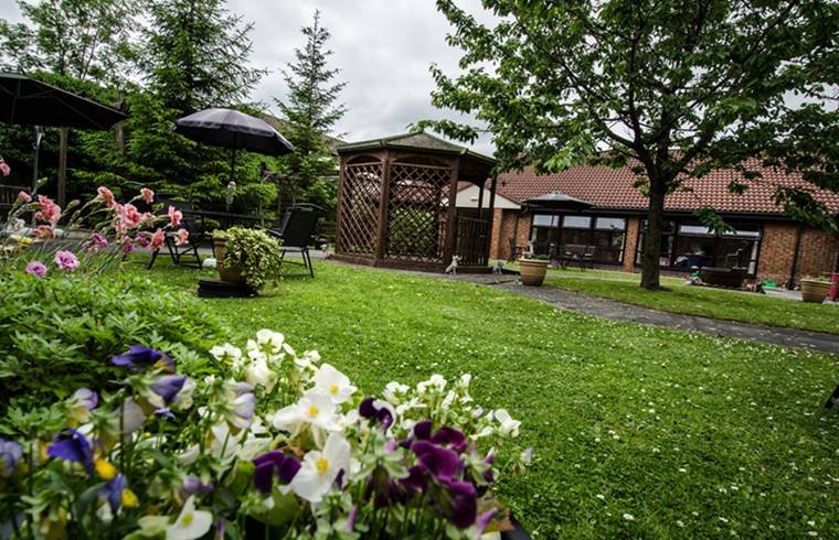 garden_outdoor