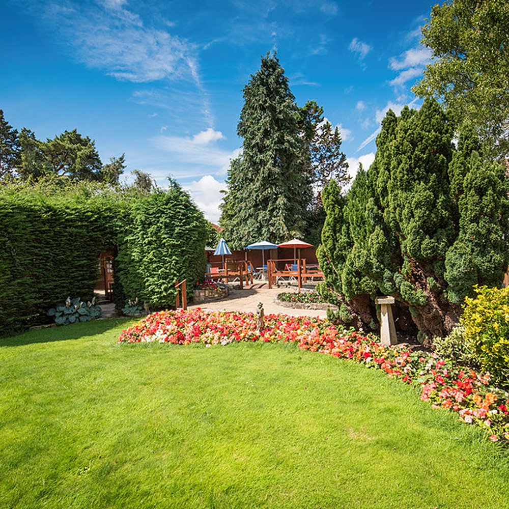 garden_outdoor