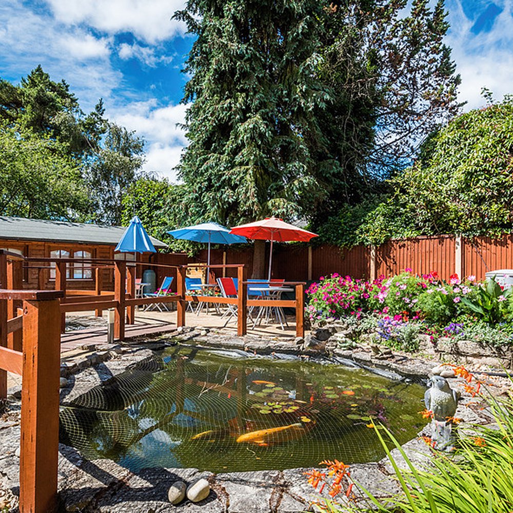 garden_outdoor