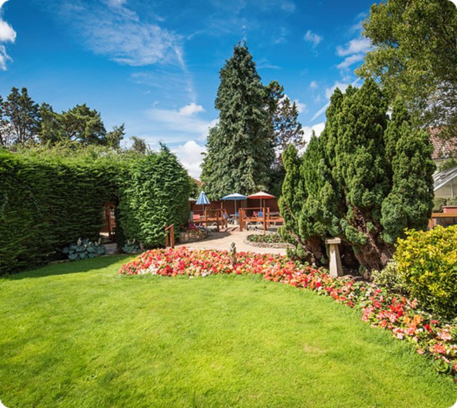 garden_outdoor