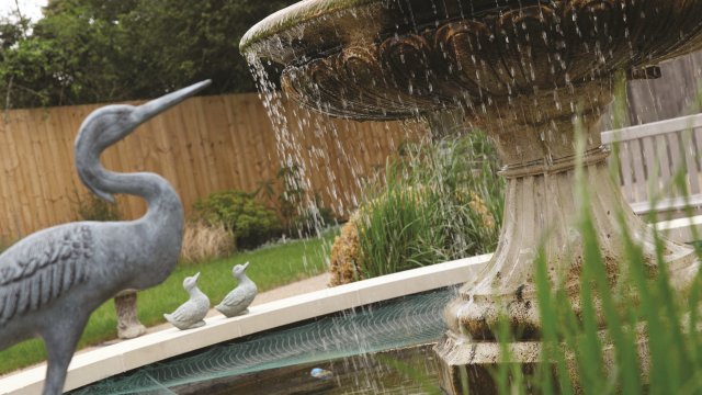 garden_outdoor