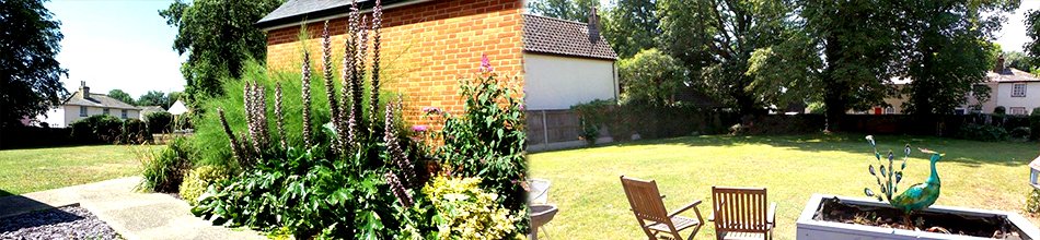 garden_outdoor